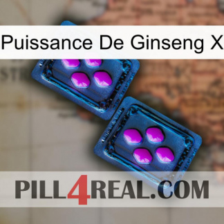 Ginseng Power X 03